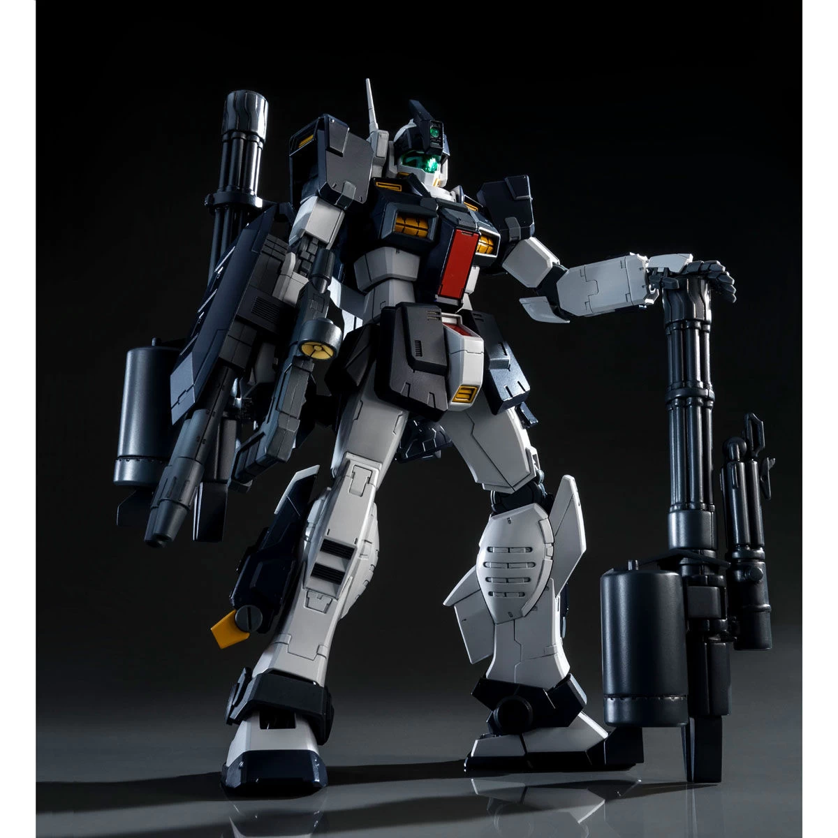 MG 1/100 GM DOMINANCE (PHILIP HUGHES CUSTOM)