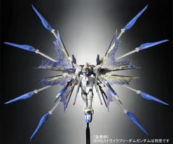 RG 1/144 STRIKE FREEDOM GUNDAM EFFECT UNIT WING OF THE SKIES 10 RG 1/144 STRIKE FREEDOM GUNDAM EFFECT UNIT WING OF THE SKIES -Boutique Gundam pb rg strike freedom wing of the skies 3