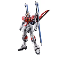 RG 1/144 SWORD IMPULSE GUNDAM